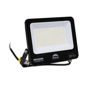 This is a picture of a 100w Flood Light
